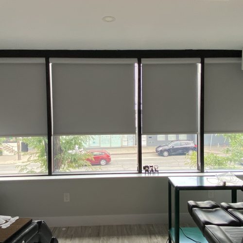 Project showcase - 19