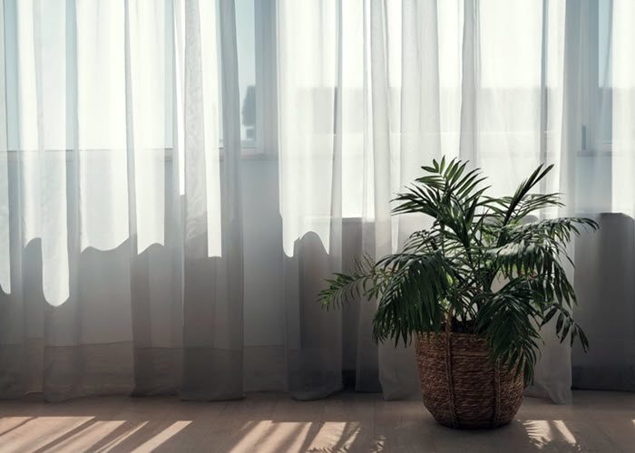 Sheer Curtain Cover - 700x500